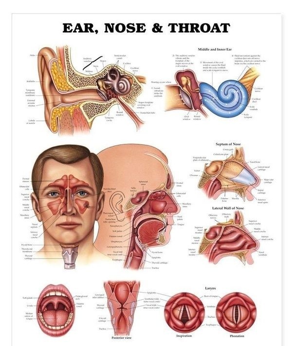 ENT clinic in Pune